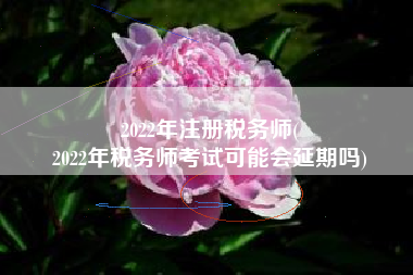 2022年注册税务师(
2022年税务师考试可能会延期吗)
