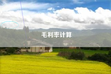 毛利率计算
