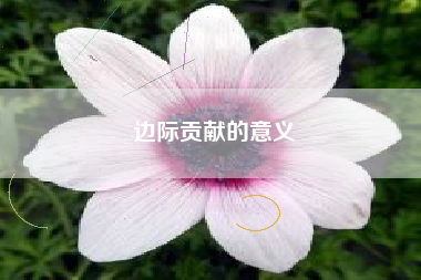 边际贡献的意义