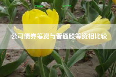公司债券筹资与普通股筹资相比较
