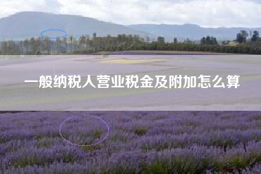 一般纳税人营业税金及附加怎么算