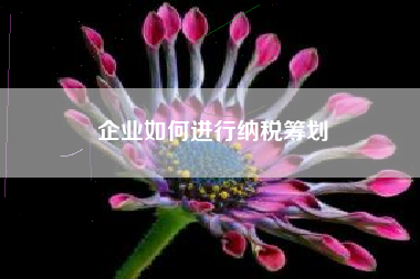 企业如何进行纳税筹划