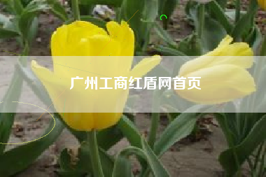 广州工商红盾网首页