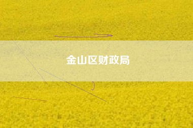 金山区财政局