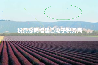 税务总局福建省电子税务局