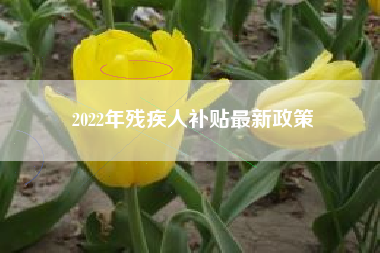 2022年残疾人补贴最新政策
