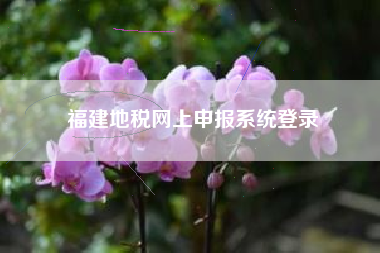 福建地税网上申报系统登录