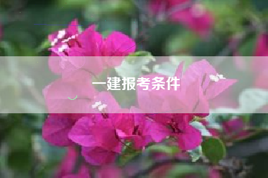 详细阅读:一建报考条件 一建报考条件
