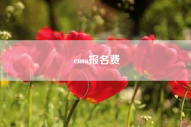 详细阅读:cma报名费 cma报名费