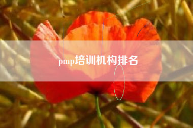 详细阅读:pmp培训机构排名 pmp培训机构排名