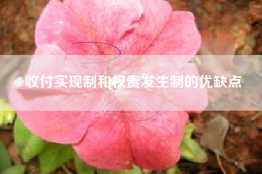 收付实现制和权责发生制的优缺点