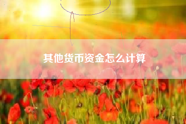 其他货币资金怎么计算