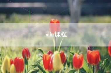 mba课程