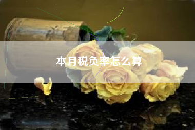 本月税负率怎么算