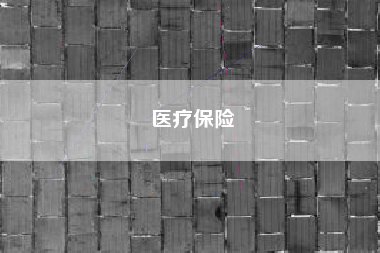详细阅读:医疗保险 医疗保险