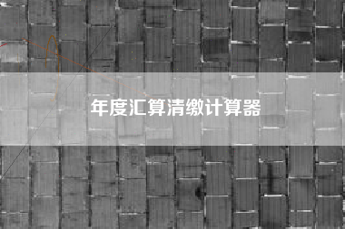 年度汇算清缴计算器