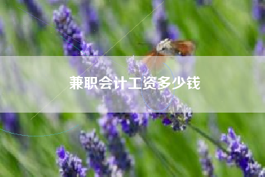 详细阅读:兼职会计工资多少钱 兼职会计工资多少钱