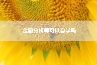 金融分析师可以自学吗