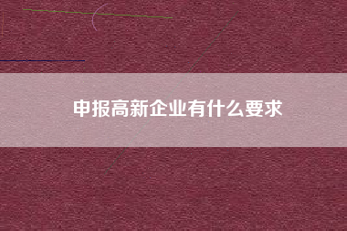 申报高新企业有什么要求