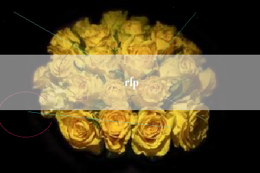 详细阅读:rfp rfp