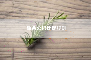 盈余公积计提规则