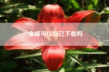 详细阅读:金蝶可以自己下载吗 金蝶可以自己下载吗
