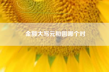 详细阅读:金额大写元和圆哪个对 金额大写元和圆哪个对