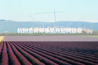 杭州会计师事务所招聘信息