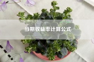当期收益率计算公式