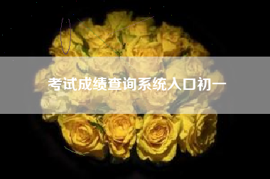 考试成绩查询系统入口初一