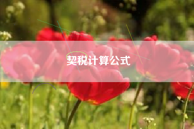契税计算公式