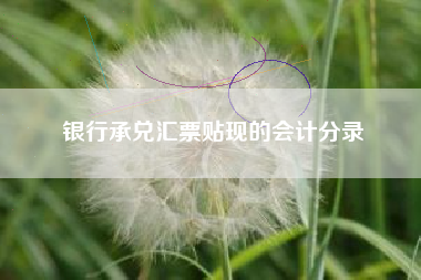 银行承兑汇票贴现的会计分录