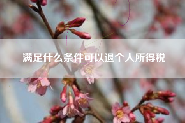 详细阅读:满足什么条件可以退个人所得税 满足什么条件可以退个人所得税