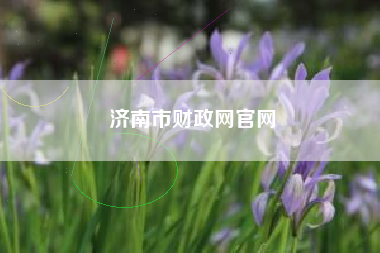 济南市财政网官网