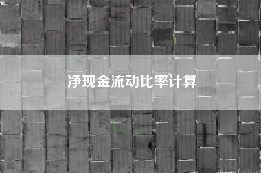 净现金流动比率计算
