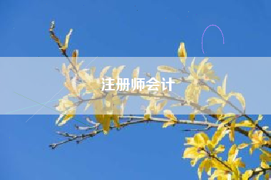 注册师会计