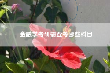 金融学考研需要考哪些科目
