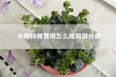 长期待摊费用怎么摊销做分录