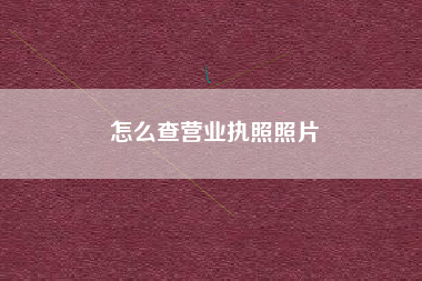 怎么查营业执照照片