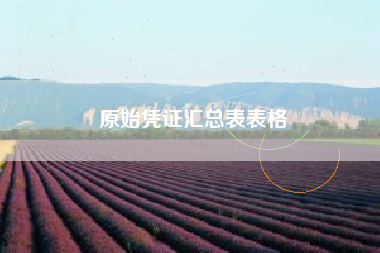 原始凭证汇总表表格