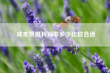 成本费用利润率多少比较合适