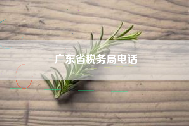 广东省税务局电话