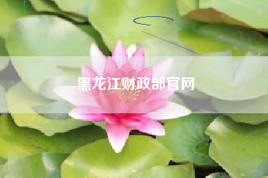 黑龙江财政部官网