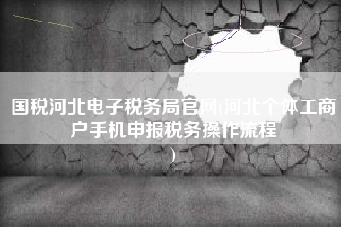国税河北电子税务局官网(河北个体工商户手机申报税务操作流程
)