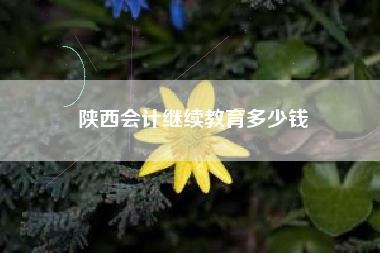 详细阅读:陕西会计继续教育多少钱 陕西会计继续教育多少钱