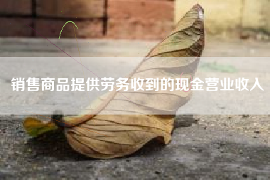 详细阅读:销售商品提供劳务收到的现金营业收入 销售商品提供劳务收到的现金营业收入