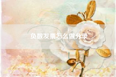 详细阅读:负数发票怎么做分录 负数发票怎么做分录