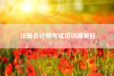 注册会计师考试培训哪里好