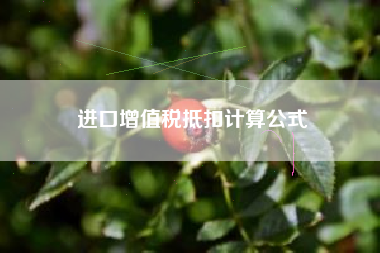 详细阅读:进口增值税抵扣计算公式 进口增值税抵扣计算公式
