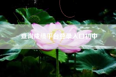 详细阅读:查询成绩平台登录入口初中 查询成绩平台登录入口初中